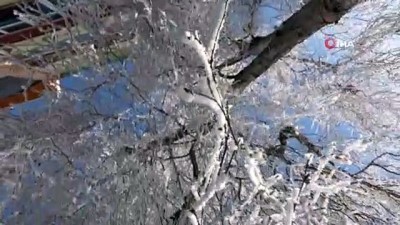 ilkbahar -  - Göle Sibirya gibi: Termometre eksi 22 dereceyi gösterdi Videosu