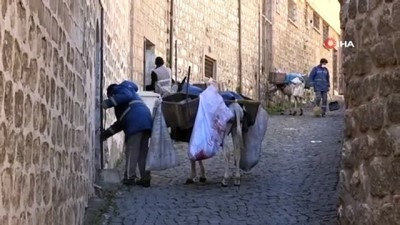 dar sokaklar -  Mardin'in 'kadrolu eşekleri' iş başında Videosu