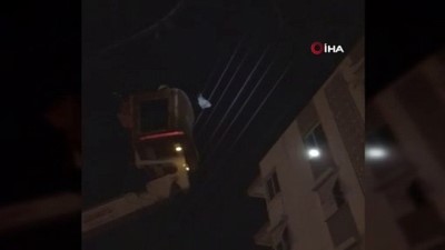 elektrik teli -  Elektrik teline düşen tavuk AEDAŞ ekiplerince kurtarıldı Videosu