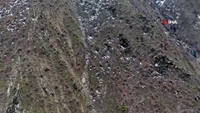 jandarma -  Bitlis’te ele geçirilen havan mühimmatı imha edildi Videosu