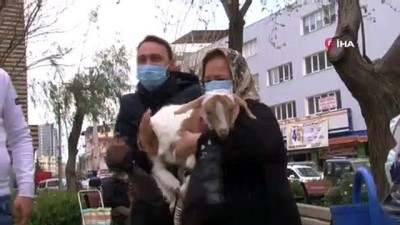 keci sutu -  İzmir'in maskotu 'maskeli keçi' Videosu