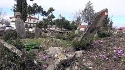 mezar taslari -  Tarihi 'Paşa Mezarlığı'nı defineciler talan etti Videosu