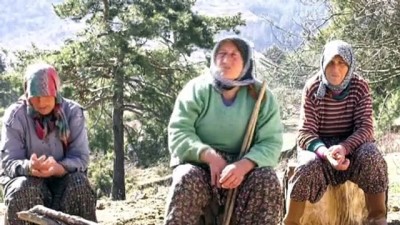 ANTALYA - 11 kız kardeşli 70 yaşındaki kadının 62 yıllık çobanlık hikayesi ilgi çekiyor