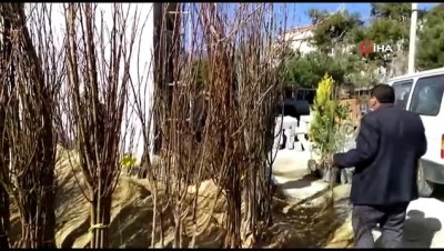 ilkbahar -  Baharın gelmesiyle fidanlar toprakla buluşmaya başladı Videosu