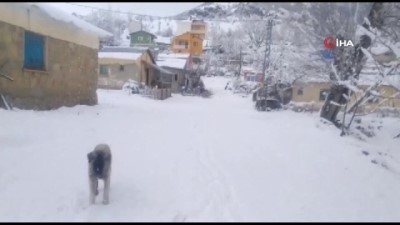 yagan -  Tunceli’de Mart ayında yağan kar, 20 köy yolunu kapattı Videosu