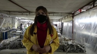 seruven -  Yüksekovalı kadınlardan dünyaya ihracat Videosu