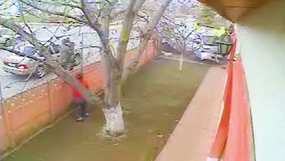 ERZİNCAN - Bir kadın bahçeye giren kamyonetin altında kalmaktan son anda kurtuldu