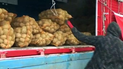  TMO, Nevşehir’de patates alımlarına başladı
