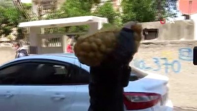  Adana’da ihtiyaç sahiplerine patatesler dağıtılmaya başlandı