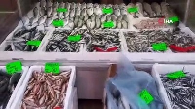 alamut -  Balıkçılar erken paydos etti Videosu