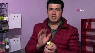uzman cavus -  Her sabah papağan Bitik’in söylediği “Ölürüm Türkiye’m” parçasıyla kalkıyorlar Videosu