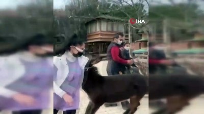 kahkaha -  Katıldığı moda yarışmasıyla tanınan Zeynep Öztürk'ün sıpayla imtihanı Videosu