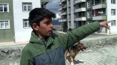 iskence -  İşkence edilen köpeğe çocuklar sahip çıktı Videosu