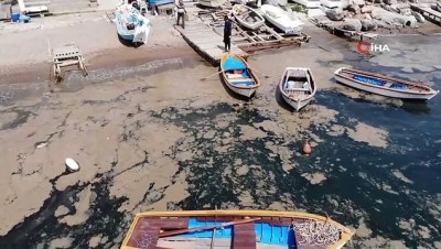 girgir -  Deniz yüzeyini kaplayan tabaka balıkçılara darbe vurdu Videosu