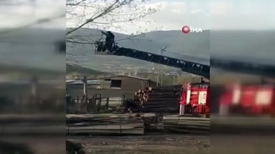 mahsur kaldi -  Ağaçta mahsur kalan kedi, itfaiye erini görünce kaçtı Videosu