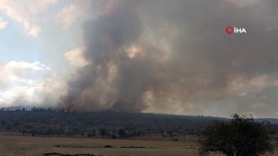  Bolu’da, yangında zarar gören 136 hektarlık alan ağaçlandırılacak