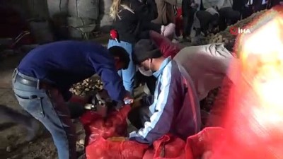 bakan yardimcisi -  TMO’nun patates alımı Ahlat çiftçisine can suyu oldu Videosu