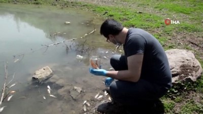 oksijen seviyesi -  Gölette endişelendiren balık ölümleri Videosu