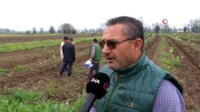 etiler -  Türkiye’ye ün salmış Sakarya kabağının ekimi başladı Videosu