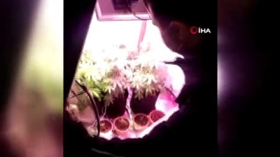 gard -  Yatak odasındaki bez gardırop “uyuşturucu serası” çıktı Videosu