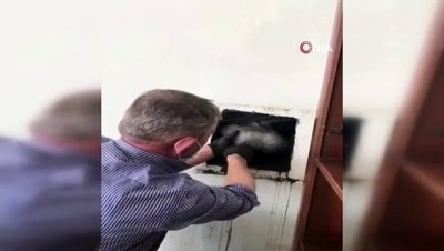 amator kamera -  Bacaya sıkışan martıyı site sakini kurtardı Videosu