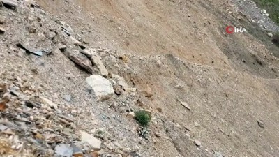 el bombasi -  Bitlis’te bulunan 4 adet el bombası böyle imha edildi Videosu