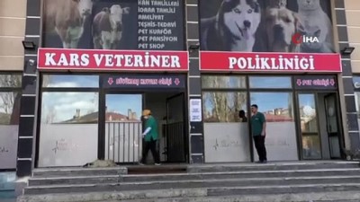 kopek -  Kars’ta buzağılarda Korona virüs görüldü Videosu