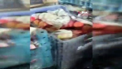 tahkikat -  Elma kasalarında 80 kilo eroin ele geçirildi Videosu