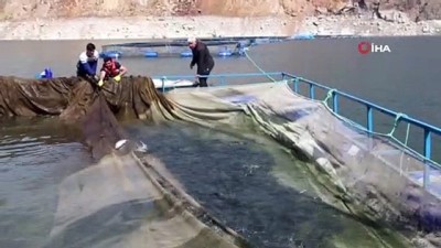  Ayvalı Barajında balık üretimi başladı