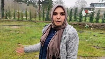 kizik -  Bursa'da sel alarmı...Uludağ'dan gelen dereler taştı Videosu