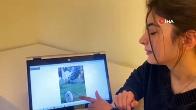 havalandirma boslugu -  MS hastası genç kız 'o olmadan yaşayamam' dediği köpeğini getirene 2 bin lira ödül verecek Videosu