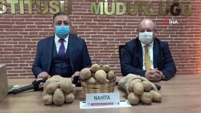  Niğde’de geliştirilen yerli patates tohumu Avrupa yolunda