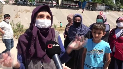 kurbaga -  Adana’da sinek isyanı Videosu