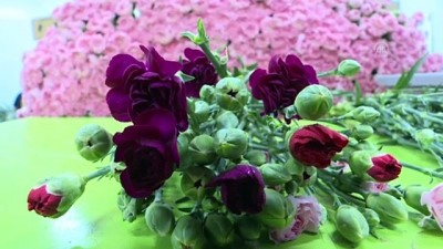 calisan kadin - ANTALYA - Çiçek sektörü 4,5 ayda yaklaşık 44 milyon dolarlık ihracat yaptı Videosu