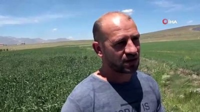  Cumhurbaşkanı Erdoğan'ın açıklaması çiftçileri sevindirdi