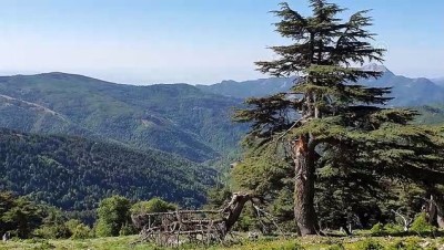 HATAY - Amanos Dağları'na doğa yürüyüşçüleri ve amatör fotoğrafçıların ilgi odağı oluyor