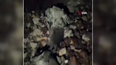 roket saldirisi -  - Lübnan’a düşen roket parçaları görüntülendi Videosu