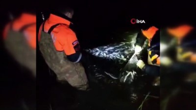 dere yatagi -  Van Gölü'nde 15 ton inci kefali kurtarıldı Videosu