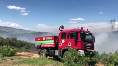 is makinasi - BİNGÖL - Orman yangınında 9 dönüm alan zarar gördü Videosu