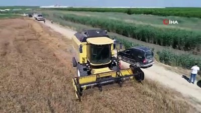 ihlas -  Buğdayda hasat başladı, çiftçinin yüzü gülüyor Videosu