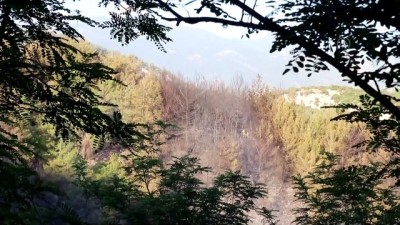 orman yangini - OSMANİYE - Orman yangını kontrol altına alındı Videosu