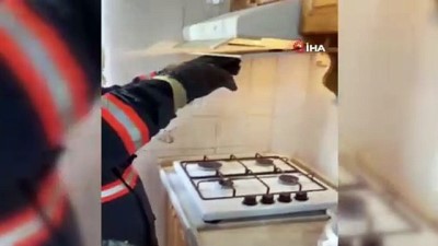 salar -  Yarasalar mutfaktaki davlumbaza girdi Videosu