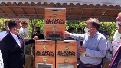 sosyal yardim - ANTALYA - Alanya'da 400 arıcıya 2 bin kovan hibe edildi Videosu
