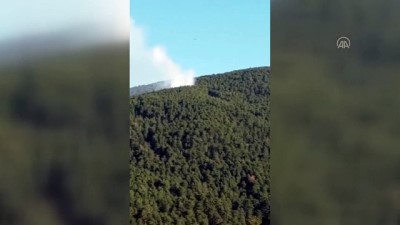 agacli - Denizli'de 1 hektarlık alanda etkili olan orman yangını söndürüldü Videosu