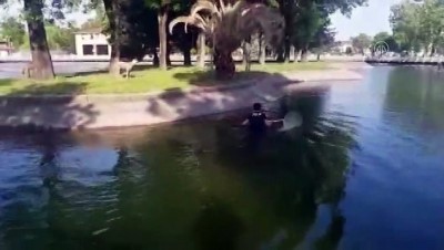 Sakarya'da göletteki yaralı martıyı suya giren polis kurtardı