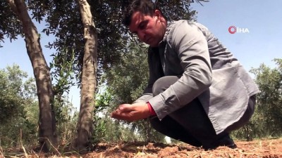 kader -  Şırnaklı çiftçilerden sulama barajı talebi Videosu