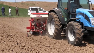 sozlesmeli - YOZGAT - Şeker pancarı tohumları toprakla buluşturuldu Videosu