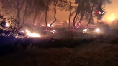  - Yunanistan'da korkutan orman yangını
