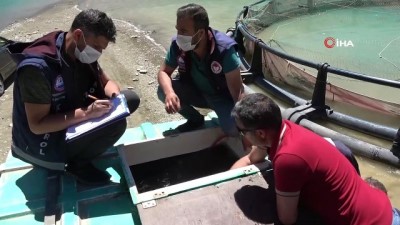 baraj golu -  Aynı anda 1 milyon 300 bin yavru balık baraj suyuyla buluştu Videosu