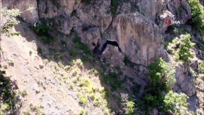 teroristler -  MSB: “Teröristlerin inlerine girmeye devam ediyoruz” Videosu